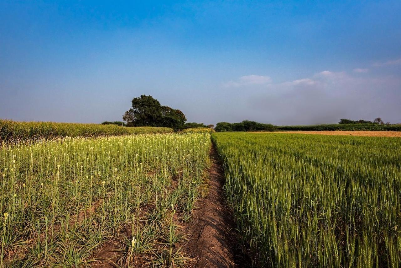 Saffronstays Happy Fields, Pune - Luxury Farmstay With Farm To Table Food 外观 照片